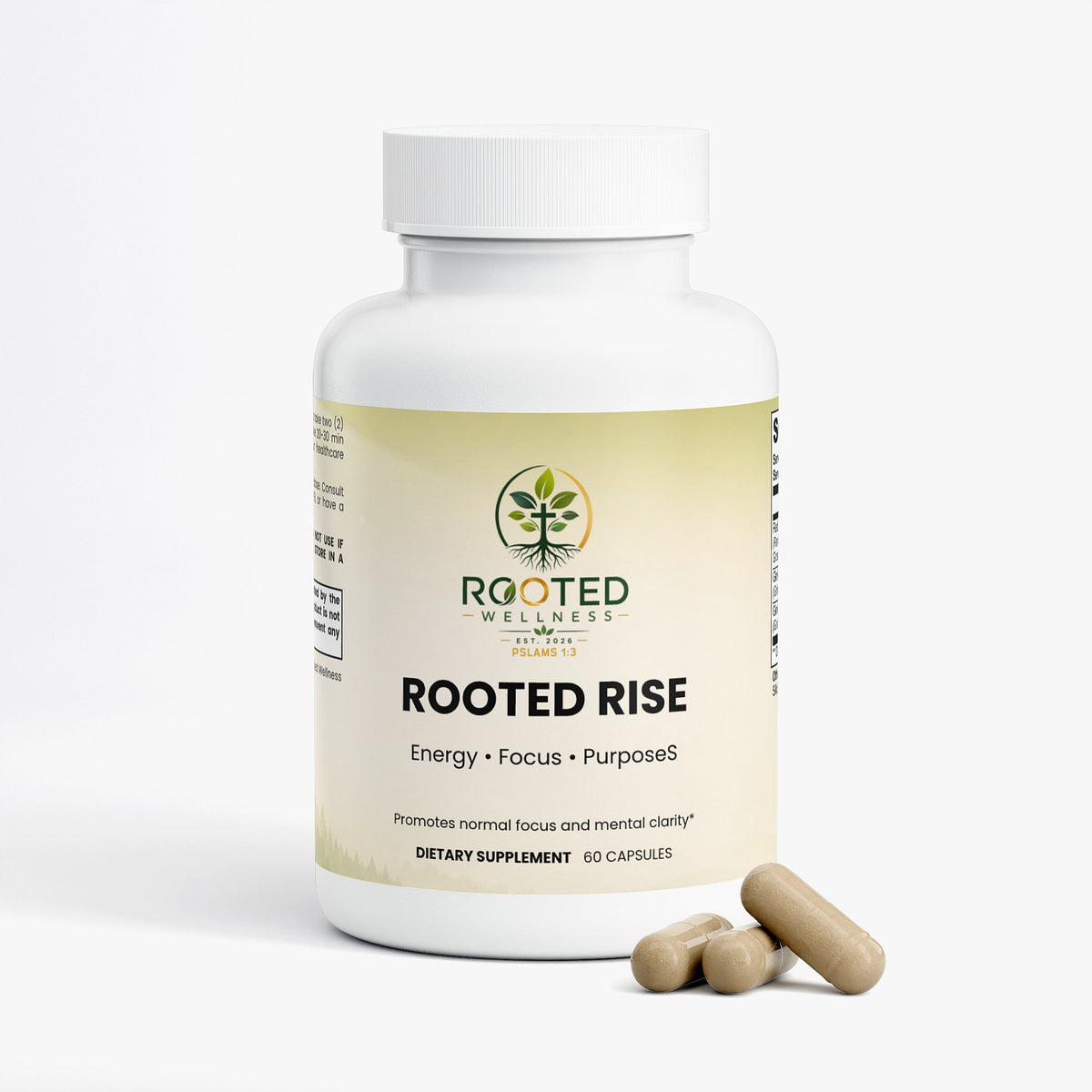 Rooted Rise- Ginkgo Biloba + Ginseng by Rooted Wellness