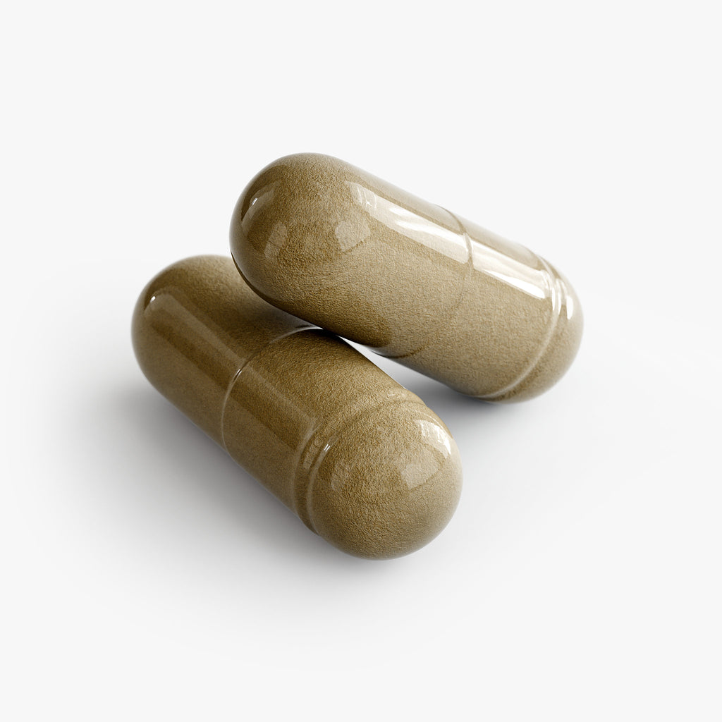 Rooted Rise- Ginkgo Biloba + Ginseng by Rooted Wellness
