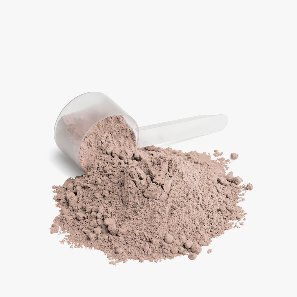 Whey Protein Isolate – Chocolate | Low Lactose, Rich Flavor, 19g Protein by Rooted Wellness