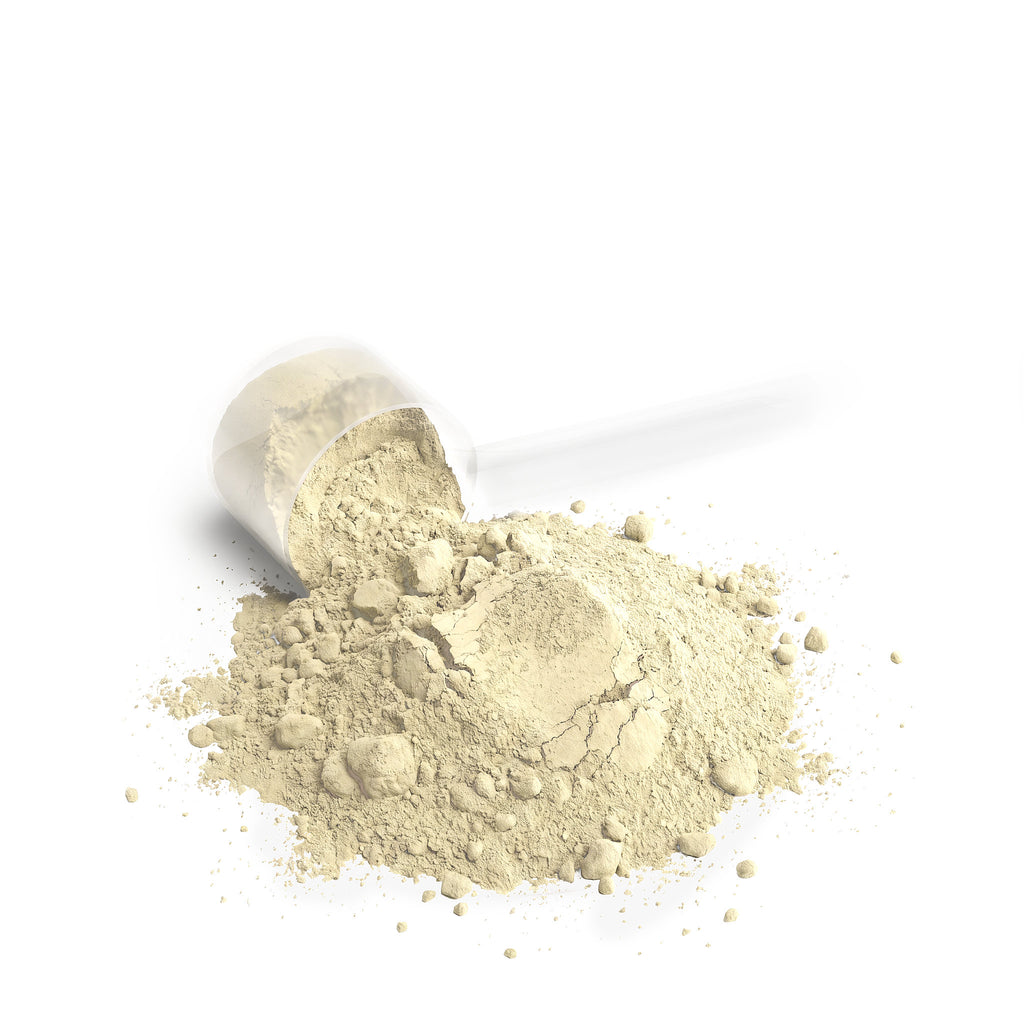 Performance Whey Protein Blend (Vanilla) by Rooted Wellness