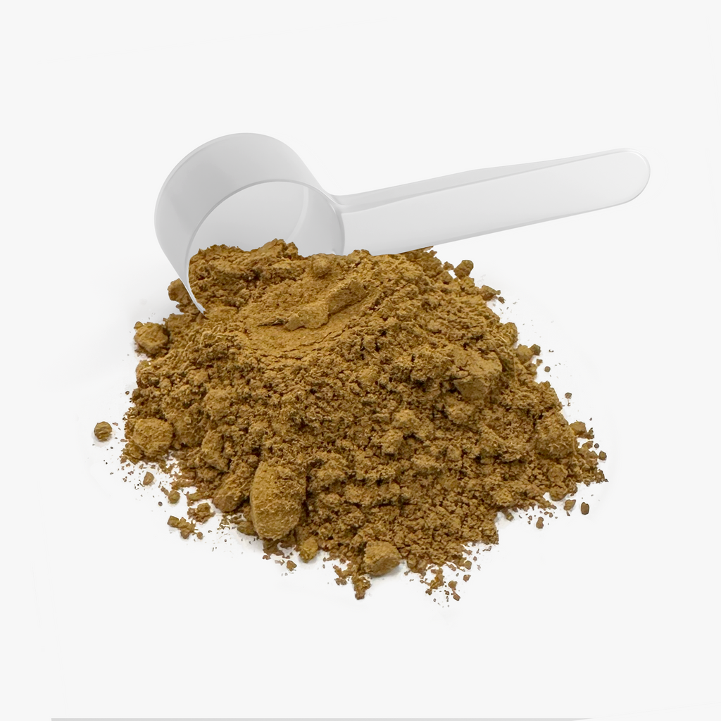 Mushroom Fuse Instant Coffee (Medium Roast) by Rooted Wellness