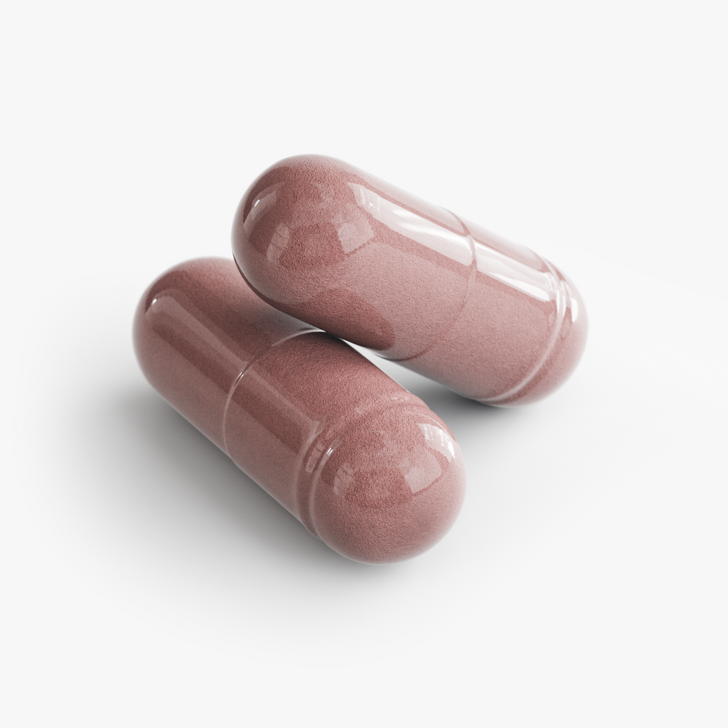 Immune Support Complex by Rooted Wellness