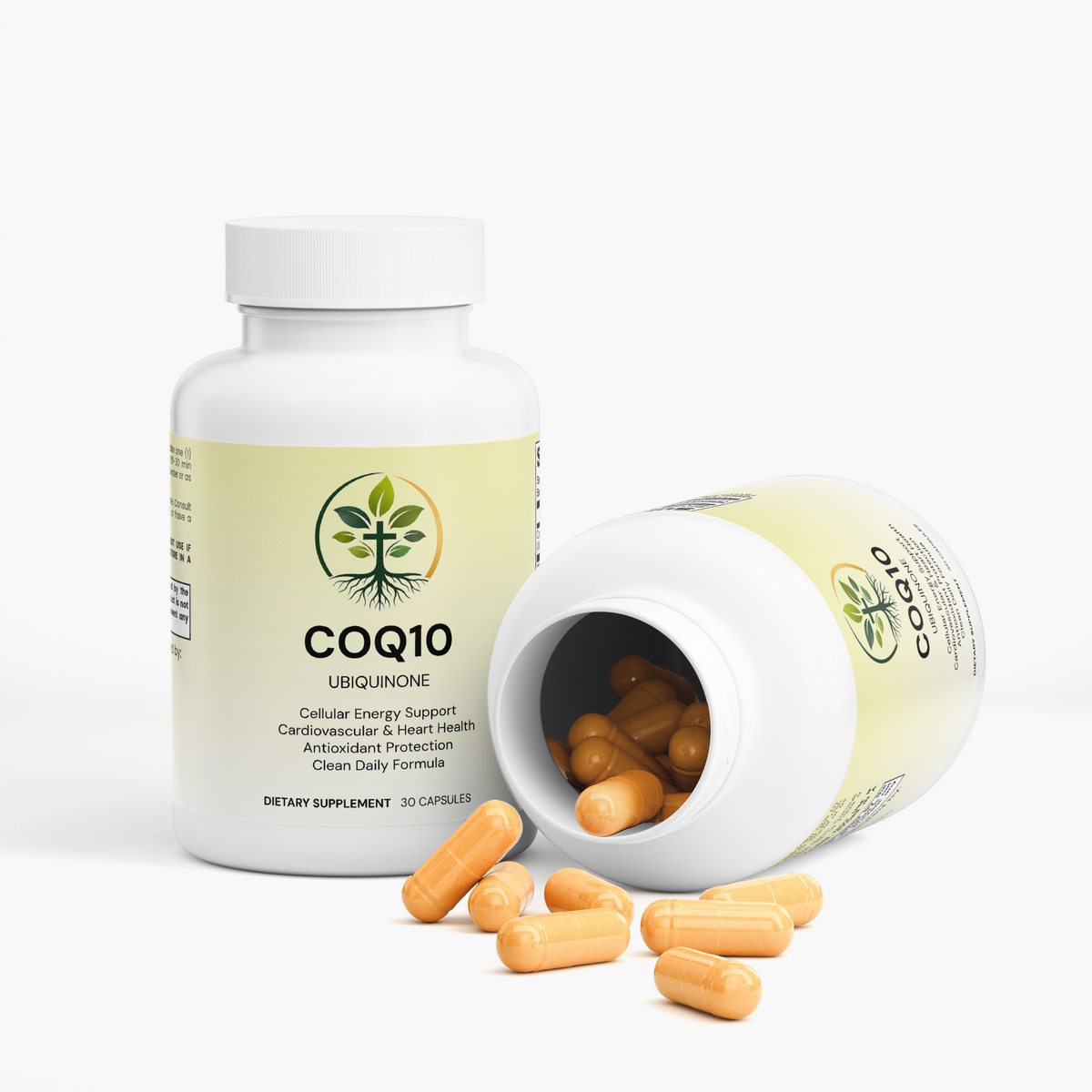 CoQ10 Ubiquinone by Rooted Wellness