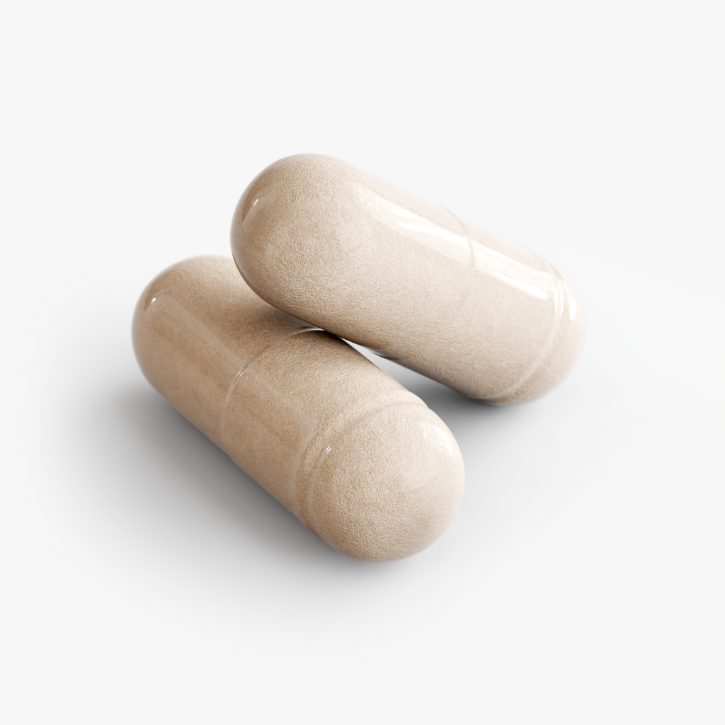 Brain & Focus Formula by Rooted Wellness