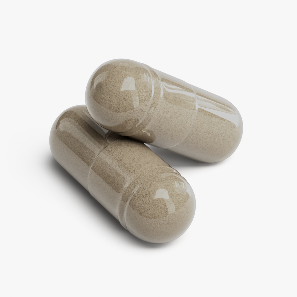 Gotu Kola & Bacopa Clarity Complex by Rooted Wellness